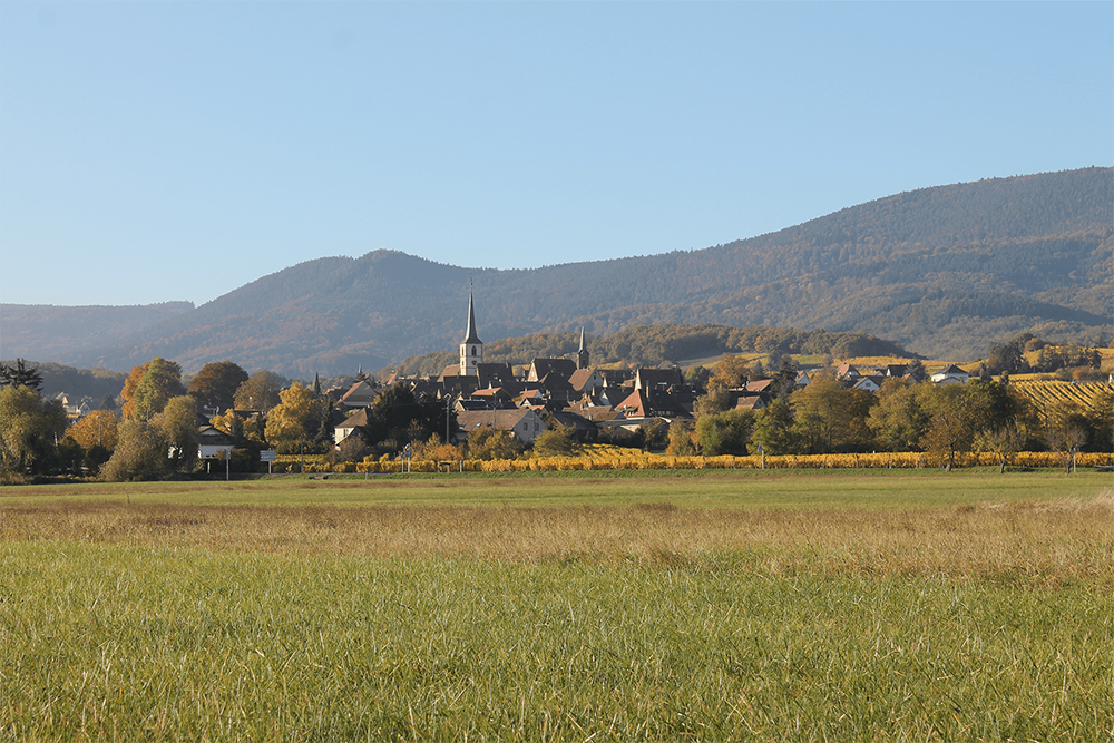 Mittelbergheim, village viticole en Alsace